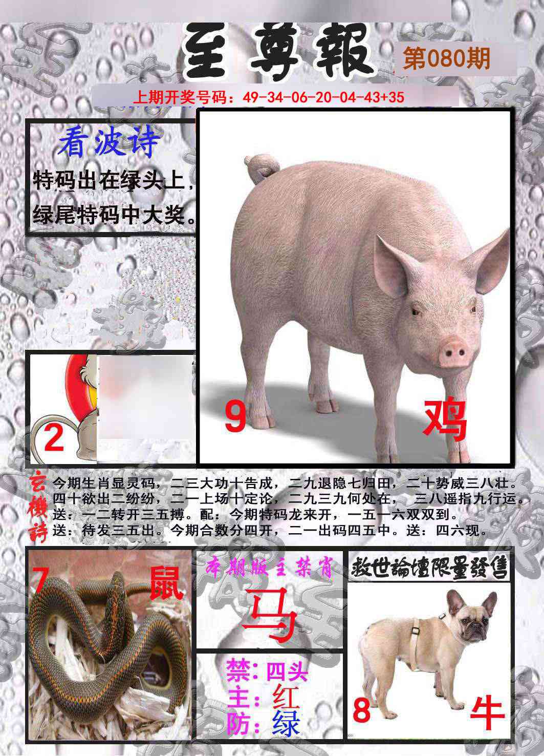 080期至尊报[图]